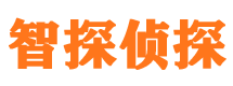 井陉县资产调查